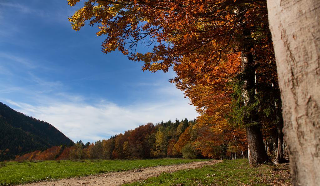 Gasthof Fischerstueberl Rottau Екстериор снимка